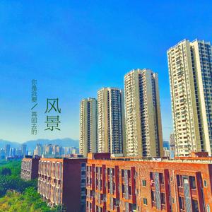 这一生关于你的风景