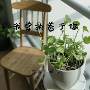 我曾执着于你