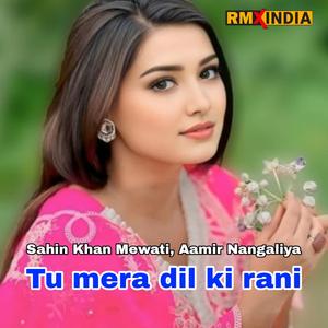 Tu Mera Dil Ki Rani