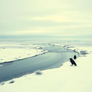 In Kuskokwim's Arms (Bethel, Alaska)