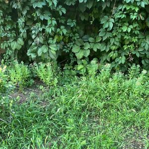 湖畔的中央（prod by Xouns）