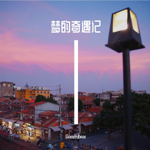 梦的奇遇记