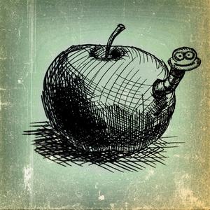 The Rind (Acoustic) (Acoustic)