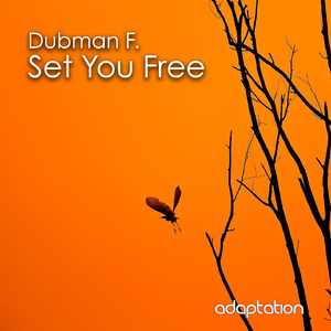 Set You Free (Original Mix)