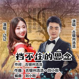 挡不住的思念 (舞曲对唱版)