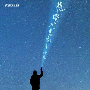 想要对着流星许愿