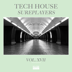 The Vision (Jonas Woehl Remix)