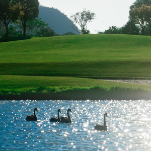 白天不懂夜的黑.mp3