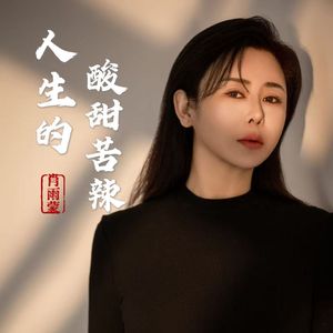 人生的酸甜苦辣