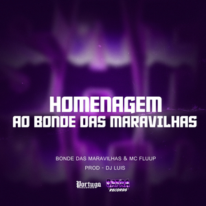 HOMENAGEM AO BONDE DAS MARAVILHAS