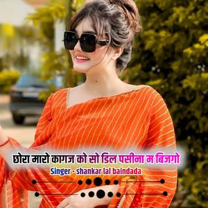 छोरा मारो कागज को सो डिल पसीना म बिजगो