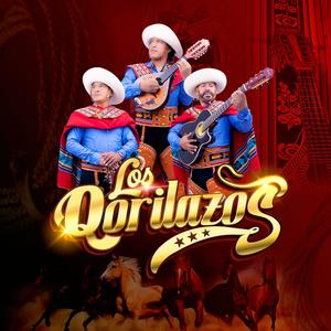 Caballo Negro Mi Fiel Amigo