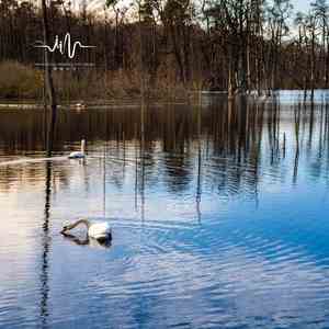 下雨天屋檐 (舒缓曲)