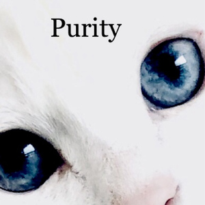 Purity