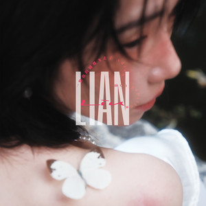 一整夜的蝴蝶飞走了