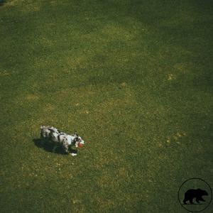 26 (Echo Mix)