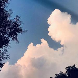 20210828145331音频提取