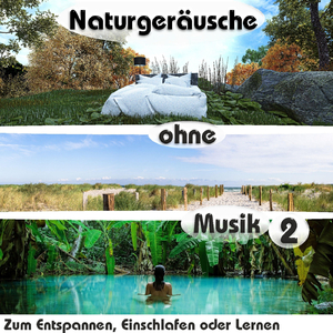 Regenwald Atmosphere mit Grillen zirpen