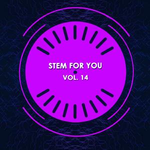 Moster (Extended Kizomba Bass Track)