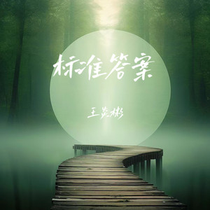 标准答案 (伴奏)