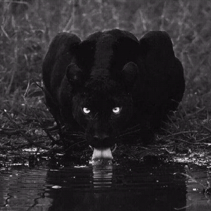 Rompasso-Angetenar（可有道 混搭）（可有道 remix）