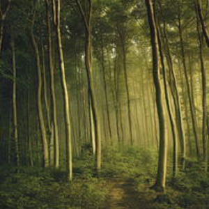 【翻唱】氧气（翻自 范晓萱）