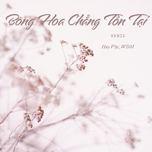 Bông Hoa Chẳng Tồn Tại (Remix)