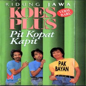 Pak Bayan (Ning Nong Ning Gong)