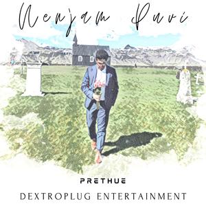 Nenjam Puvi (feat. Shwetha Santhanam)