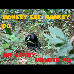 Monkey See