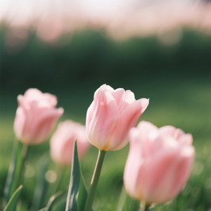 Kenangan Dengan Jalan