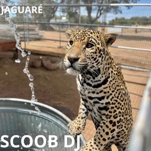 JAGUARÉ