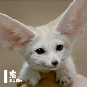 蓝海碧波上白帆点点远