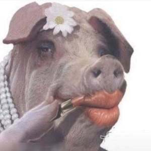 明知故犯（Prod by 咖啡阿豆）