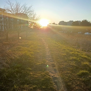 Sunshining