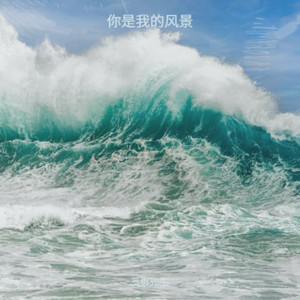 你是我的风景（爱让悬崖变平地生出森林）