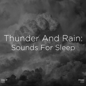 뇌우 소리 수면