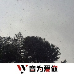 多余的解释 (DJ版)