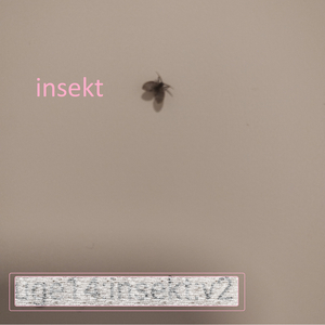 insekt