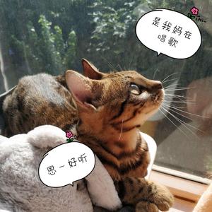 画颜（翻自 魏新雨）