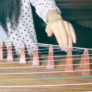 「古筝」棠梨煎雪（Cover 银临）