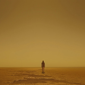 Armonía Tranquilizadora Para Mentes Tensas