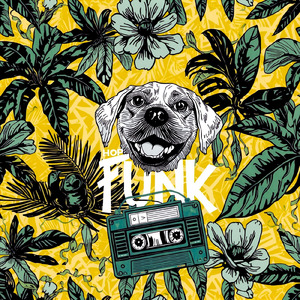 HOP FUNK