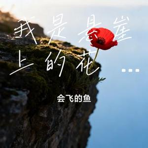 月亮别再嘲笑我