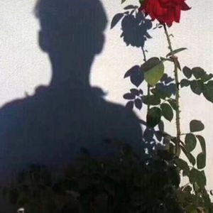 时光沙漏下的宁静午后