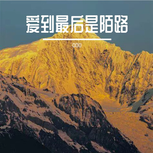 流年染林衣