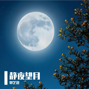 静夜望月（纯音乐）