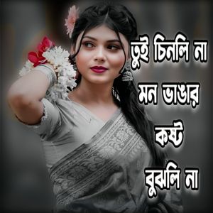 তুই চিনলি না মন ভাঙার কষ্ট বুঝলি না (Original Version)