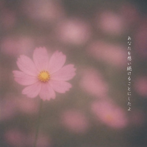 あなたを想い続けることにしたよ