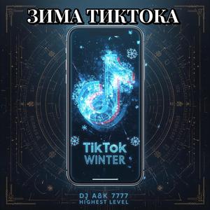 Зима Тиктока